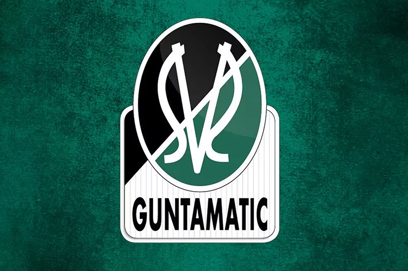 The History and Origins of SV Ried FC