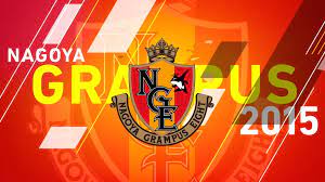 Achievements and Successes in Domestic Competitions Nagoya Grampus Eight FC